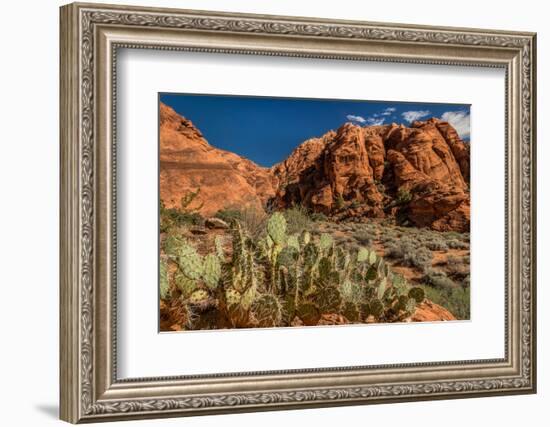 Prickly Pear cactus along Water Canyon, St. George, Utah, USA-null-Framed Photographic Print