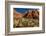 Prickly Pear cactus along Water Canyon, St. George, Utah, USA-null-Framed Photographic Print