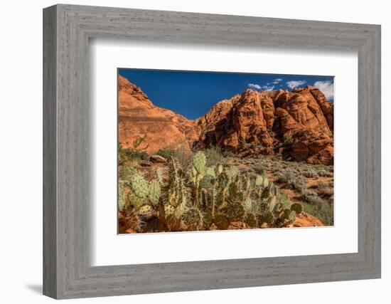 Prickly Pear cactus along Water Canyon, St. George, Utah, USA-null-Framed Photographic Print