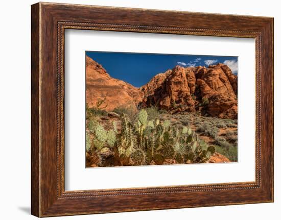 Prickly Pear cactus along Water Canyon, St. George, Utah, USA-null-Framed Photographic Print