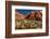 Prickly Pear cactus along Water Canyon, St. George, Utah, USA-null-Framed Photographic Print