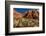 Prickly Pear cactus along Water Canyon, St. George, Utah, USA-null-Framed Photographic Print