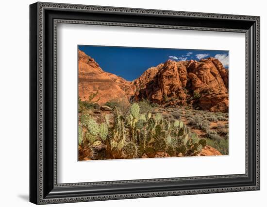 Prickly Pear cactus along Water Canyon, St. George, Utah, USA-null-Framed Photographic Print