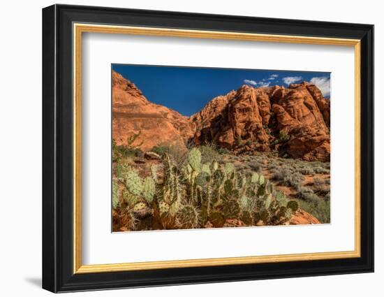 Prickly Pear cactus along Water Canyon, St. George, Utah, USA-null-Framed Photographic Print