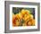 Prickly Pear Cactus Blossoms-James Randklev-Framed Photographic Print