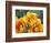 Prickly Pear Cactus Blossoms-James Randklev-Framed Photographic Print