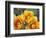 Prickly Pear Cactus Blossoms-James Randklev-Framed Photographic Print