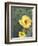 Prickly Pear Cactus Flower, Saguaro National Park, Arizona, USA-Jamie & Judy Wild-Framed Photographic Print