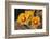 Prickly Pear Cactus Flower-DLILLC-Framed Photographic Print