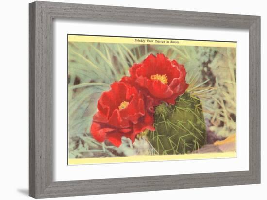 Prickly Pear Cactus in Bloom-null-Framed Premium Giclee Print