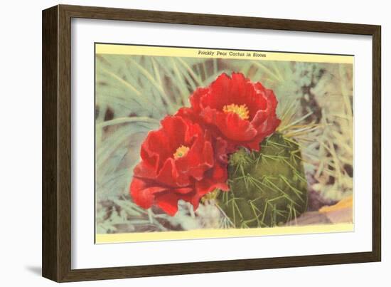 Prickly Pear Cactus in Bloom-null-Framed Premium Giclee Print