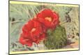 Premium Giclee Print