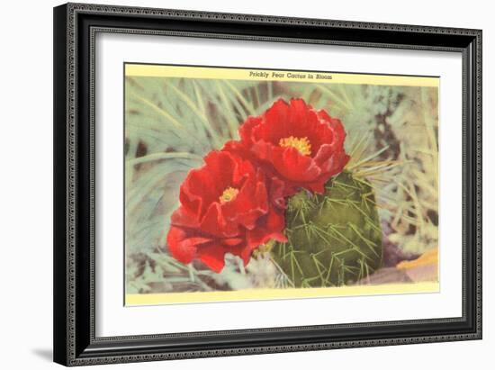 Prickly Pear Cactus in Bloom-null-Framed Premium Giclee Print