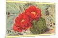 Premium Giclee Print