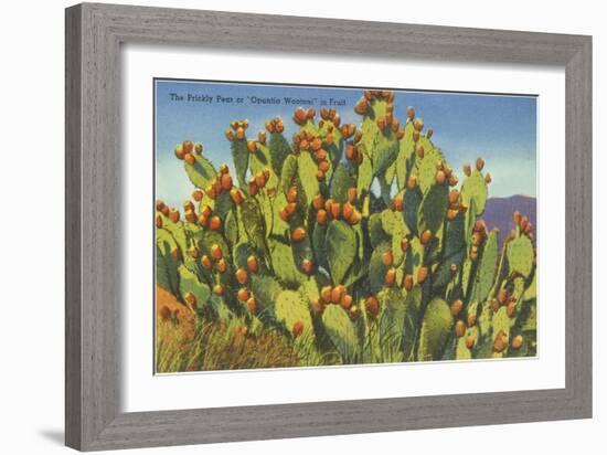 Prickly Pear Cactus in Fruit-null-Framed Art Print