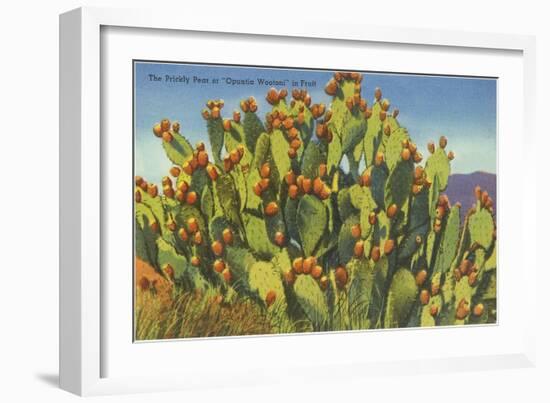 Prickly Pear Cactus in Fruit-null-Framed Art Print