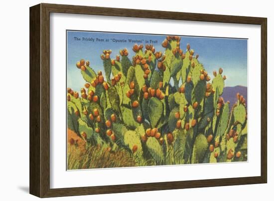 Prickly Pear Cactus in Fruit-null-Framed Premium Giclee Print