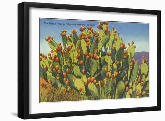 Prickly Pear Cactus in Fruit-null-Framed Premium Giclee Print