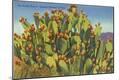 Premium Giclee Print