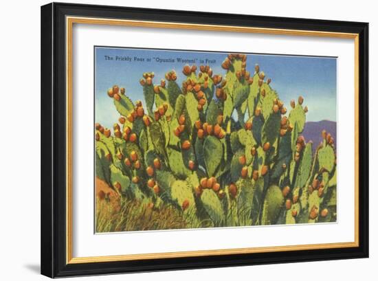 Prickly Pear Cactus in Fruit-null-Framed Premium Giclee Print