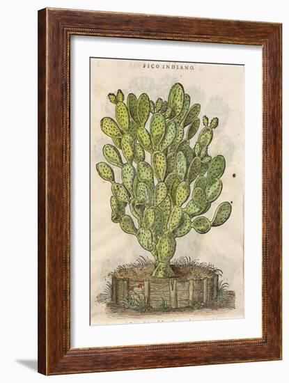 Prickly Pear Cactus or Indian Fig Opuntia-null-Framed Giclee Print