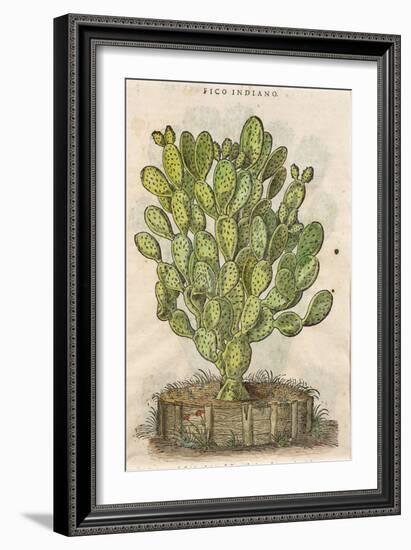 Prickly Pear Cactus or Indian Fig Opuntia-null-Framed Giclee Print