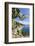 Prickly pears on rocks above the sea, Pomonte, Marciana, Elba Island, Livorno Province, Tuscany, It-Roberto Moiola-Framed Photographic Print