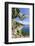 Prickly pears on rocks above the sea, Pomonte, Marciana, Elba Island, Livorno Province, Tuscany, It-Roberto Moiola-Framed Photographic Print