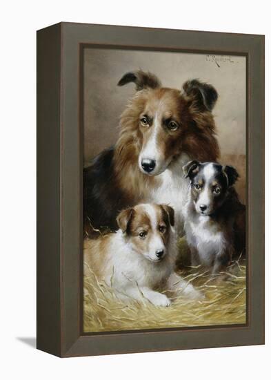 Pride and Joy-Carl Reichert-Framed Premier Image Canvas