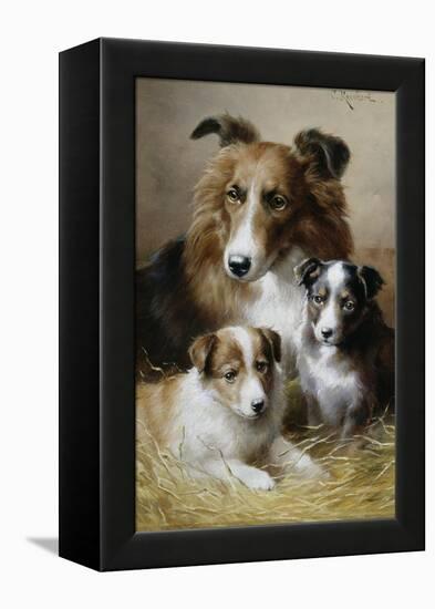 Pride and Joy-Carl Reichert-Framed Premier Image Canvas