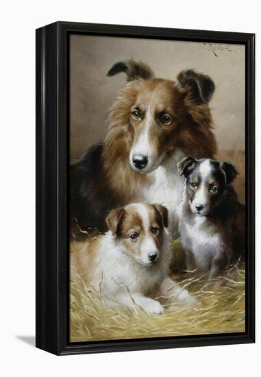 Pride and Joy-Carl Reichert-Framed Premier Image Canvas