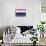 Pride - Gender Fluid-Tom Frazier-Mounted Giclee Print displayed on a wall