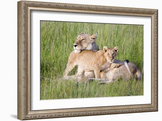 Pride of a Lioness-Susann Parker-Framed Photographic Print