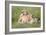 Pride of a Lioness-Susann Parker-Framed Photographic Print