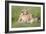 Pride of a Lioness-Susann Parker-Framed Photographic Print