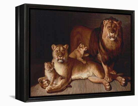 Pride of Lions-Jean-Baptiste Huet-Framed Premier Image Canvas