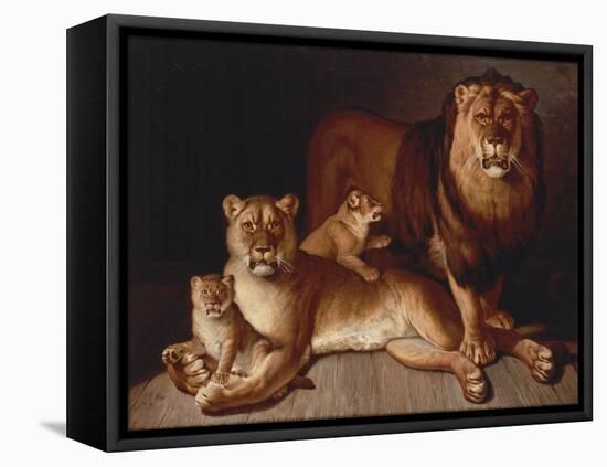 Pride of Lions-Jean-Baptiste Huet-Framed Premier Image Canvas