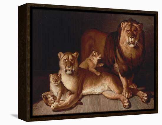 Pride of Lions-Jean-Baptiste Huet-Framed Premier Image Canvas