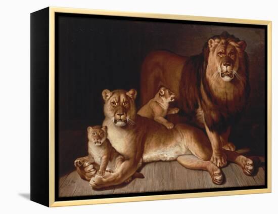 Pride of Lions-Jean-Baptiste Huet-Framed Premier Image Canvas