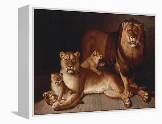 Pride of Lions-Jean-Baptiste Huet-Framed Premier Image Canvas