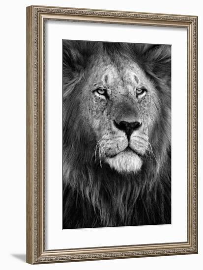 Pride-Xavier Ortega-Framed Giclee Print