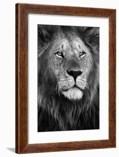 Pride-Xavier Ortega-Framed Giclee Print