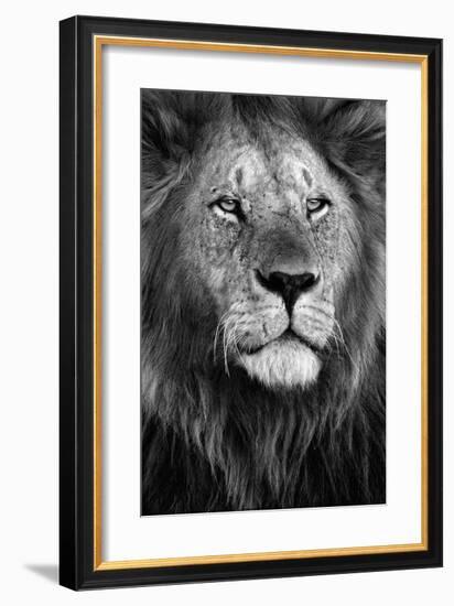 Pride-Xavier Ortega-Framed Giclee Print