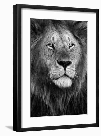 Pride-Xavier Ortega-Framed Giclee Print