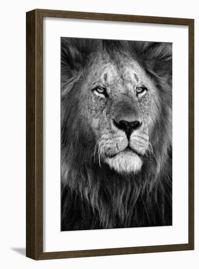 Pride-Xavier Ortega-Framed Giclee Print