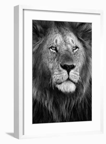 Pride-Xavier Ortega-Framed Giclee Print