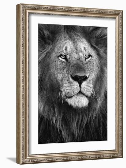 Pride-Xavier Ortega-Framed Art Print