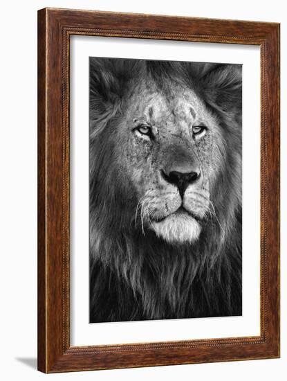 Pride-Xavier Ortega-Framed Art Print