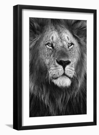 Pride-Xavier Ortega-Framed Art Print