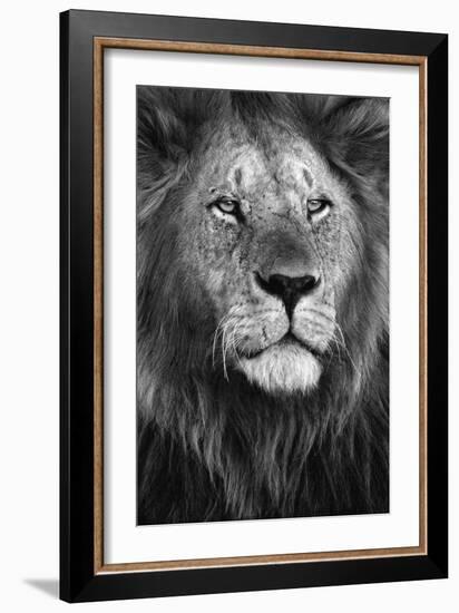 Pride-Xavier Ortega-Framed Art Print